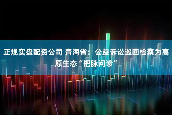 正规实盘配资公司 青海省：公益诉讼巡回检察为高原生态“把脉问诊”