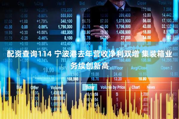 配资查询114 宁波港去年营收净利双增 集装箱业务续创新高